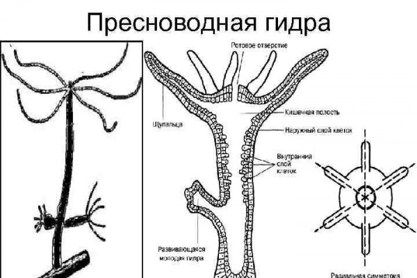 Kraken наркотики сайт