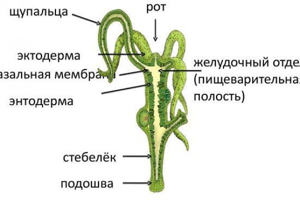 Ссылка на сайт кракен в тор