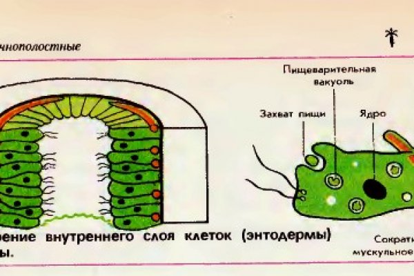 Кракен без тора