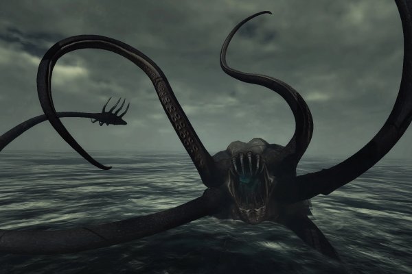 Kraken link