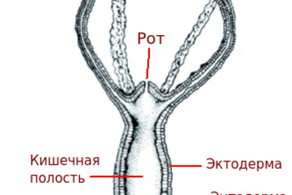 Что продают на кракене